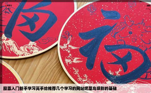 股票入门新手学习高手给推荐几个学习的网站吧菜鸟级别的基础