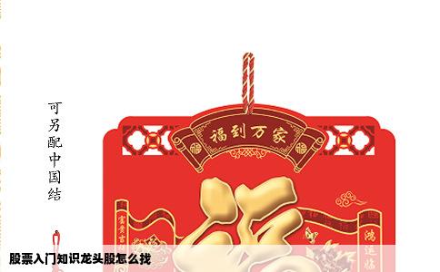 股票入门知识龙头股怎么找