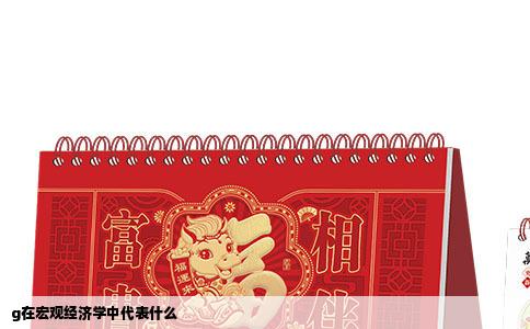 g在宏观经济学中代表什么