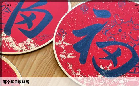 哪个基金收益高