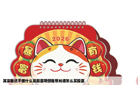 其实我还不懂什么是股票呢但我想知道怎么买股票