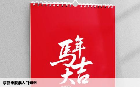 求新手股票入门知识