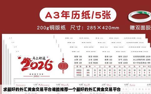 求最好的外汇黄金交易平台谁能推荐一个最好的外汇黄金交易平台