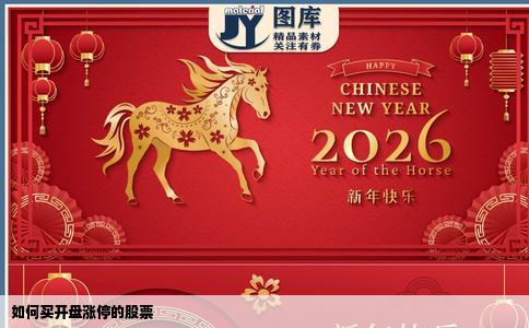 如何买开盘涨停的股票