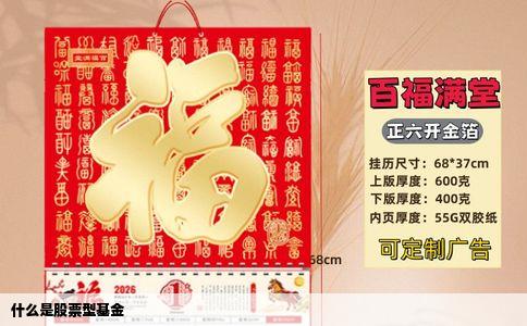 什么是股票型基金