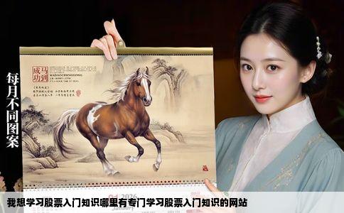 我想学习股票入门知识哪里有专门学习股票入门知识的网站