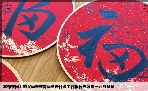 怎样在网上购买基金就有基金是什么工商银行怎么就一元的基金