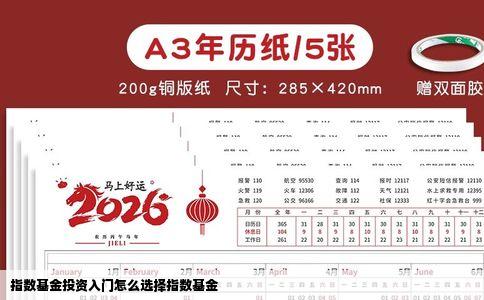 指数基金投资入门怎么选择指数基金