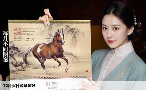 12月买什么基金好