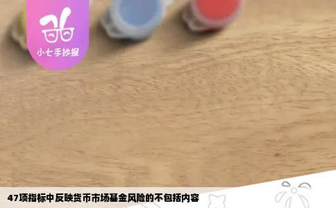 47项指标中反映货币市场基金风险的不包括内容