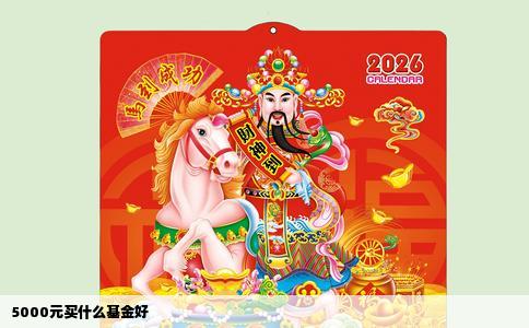 5000元买什么基金好