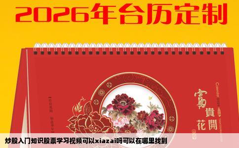 炒股入门知识股票学习视频可以xiazai吗可以在哪里找到