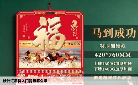 炒外汇怎样入门我该怎么学