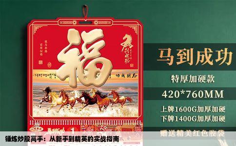 锤炼炒股高手：从新手到精英的实战指南