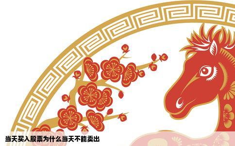 当天买入股票为什么当天不能卖出