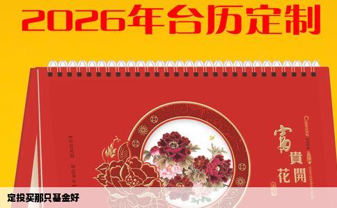 定投买那只基金好