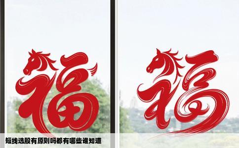 短线选股有原则吗都有哪些谁知道