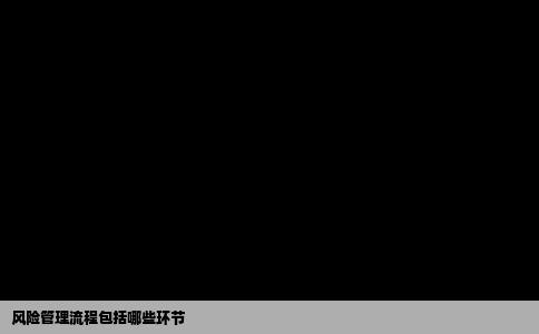 风险管理流程包括哪些环节