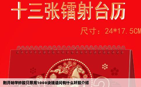 刚开始学炒股只想用1000块钱请问有什么好股介绍