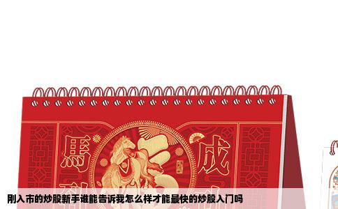 刚入市的炒股新手谁能告诉我怎么样才能最快的炒股入门吗