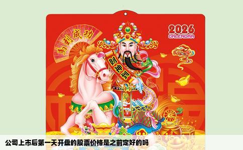 公司上市后第一天开盘的股票价格是之前定好的吗