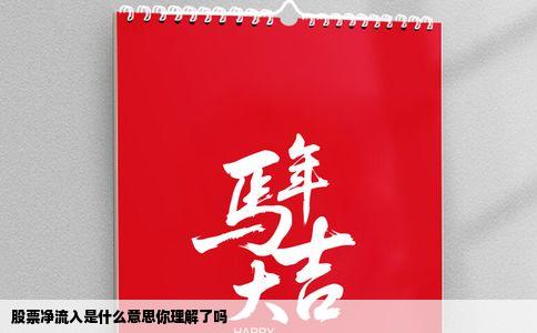 股票净流入是什么意思你理解了吗