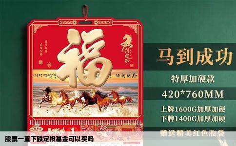 股票一直下跌定投基金可以买吗