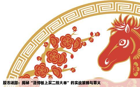 股市迷踪：揭秘“涨停板上买二挂大单”的实战策略与意义