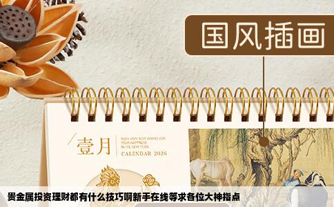 贵金属投资理财都有什么技巧啊新手在线等求各位大神指点