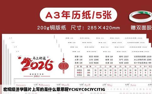 宏观经济学图片上写的是什么意思啊YCIGYC0CIYCITIG