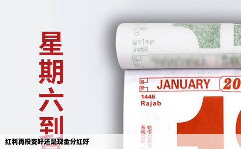 红利再投资好还是现金分红好
