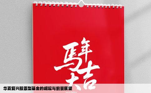 华夏复兴股票型基金的崛起与前景展望