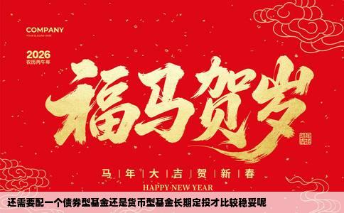 还需要配一个债券型基金还是货币型基金长期定投才比较稳妥呢