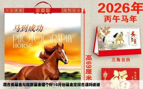 混合类基金与指数基金哪个好10月份基金定投合适吗谢谢