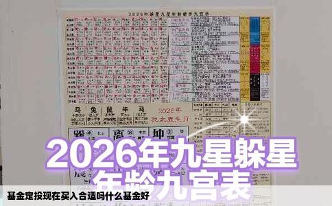基金定投现在买入合适吗什么基金好