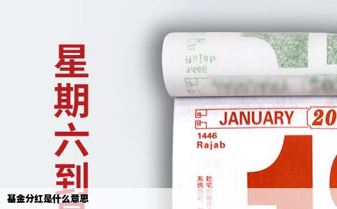 基金分红是什么意思
