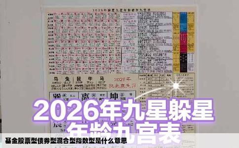 基金股票型债券型混合型指数型是什么意思