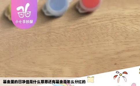 基金里的日净值是什么意思还有基金是怎么分红的