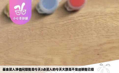基金买入净值问题我是今天2点买入的今天大跌是不是说明我已经