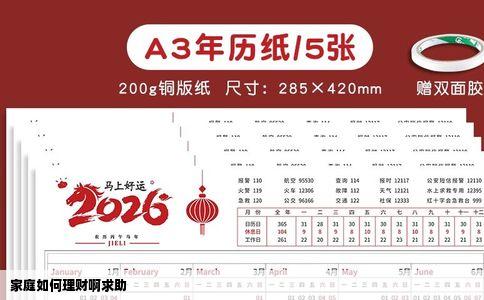 家庭如何理财啊求助
