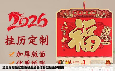 加息周期是买货币基金还是债券型基金好谢谢