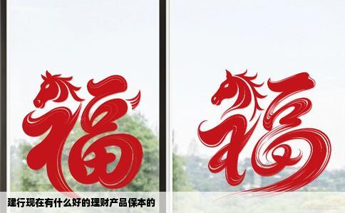 建行现在有什么好的理财产品保本的