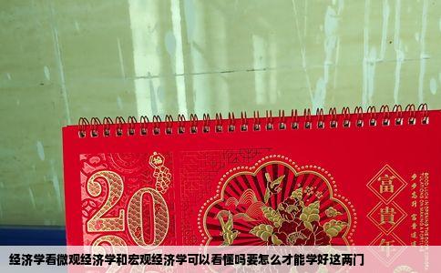 经济学看微观经济学和宏观经济学可以看懂吗要怎么才能学好这两门