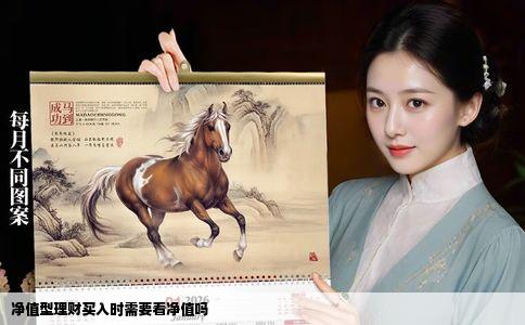 净值型理财买入时需要看净值吗