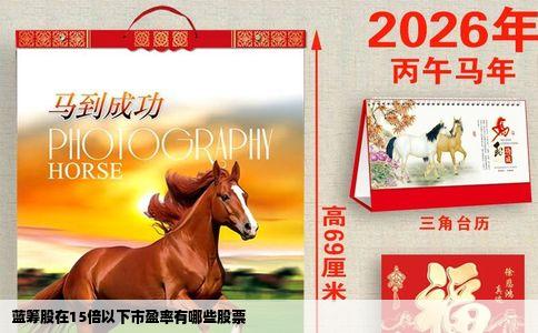 蓝筹股在15倍以下市盈率有哪些股票
