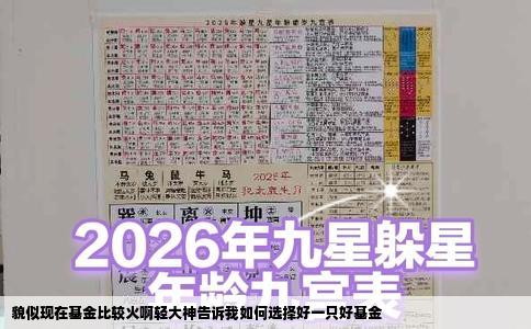 貌似现在基金比较火啊轻大神告诉我如何选择好一只好基金