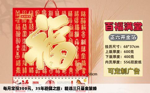 每月定投300元，35年稳健之旅：精选三只基金策略