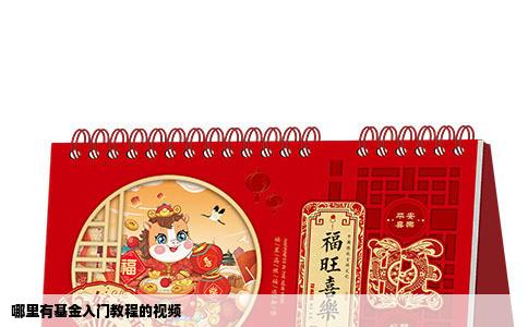 哪里有基金入门教程的视频