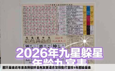 那只基金近年来走势较好且有发展适合定投我打算投5年那些基金