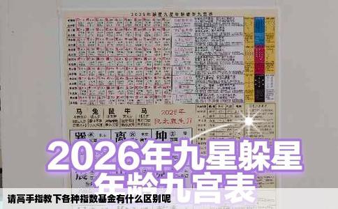 请高手指教下各种指数基金有什么区别呢